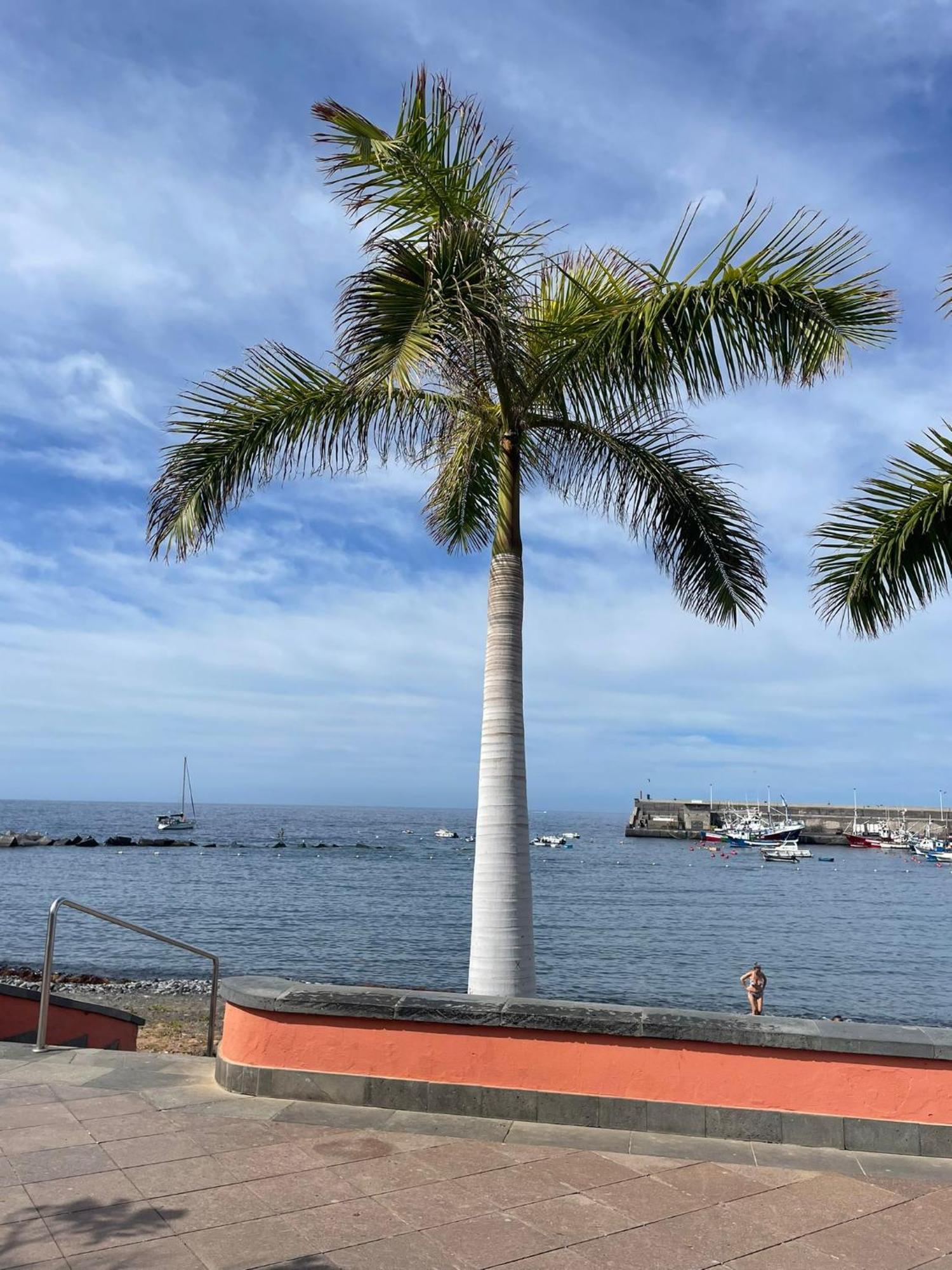 Seaside Paradise - 2 Bedroom Apartment With Ocean Views & Air Conditioning In Playa San Juan Esterno foto