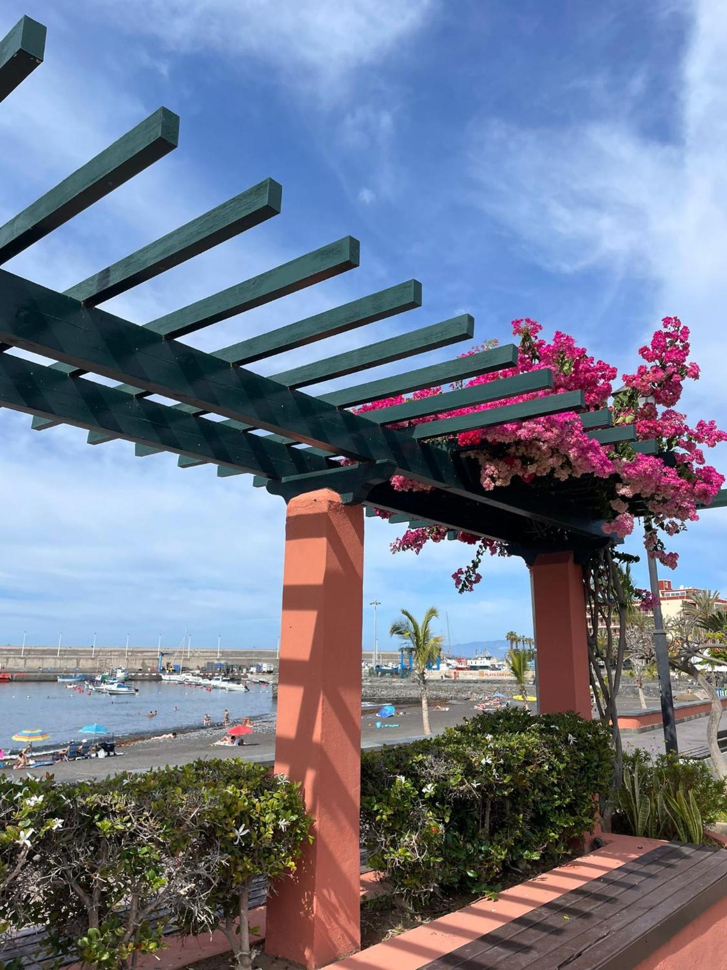 Seaside Paradise - 2 Bedroom Apartment With Ocean Views & Air Conditioning In Playa San Juan Esterno foto